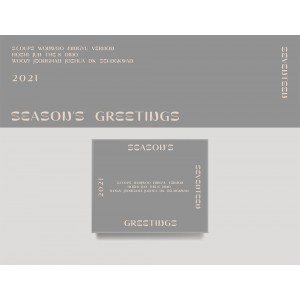 SEVENTEEN - 2021 Season's Greetings